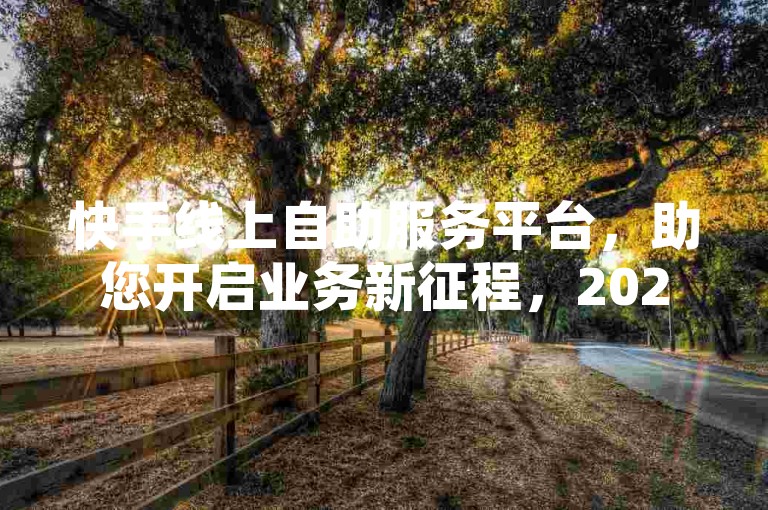 快手线上自助服务平台，助您开启业务新征程，2025不容错过！