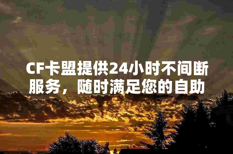 CF卡盟提供24小时不间断服务，随时满足您的自助下单需求。
