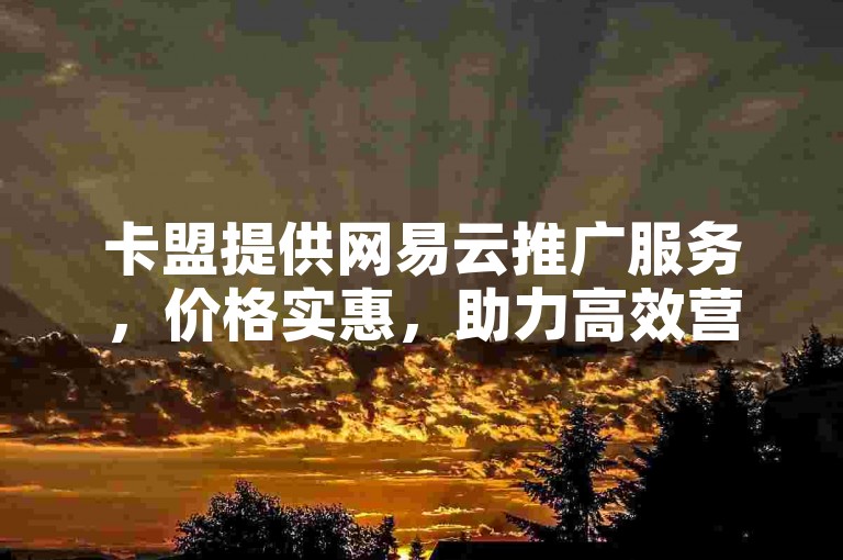 卡盟提供网易云推广服务，价格实惠，助力高效营销。