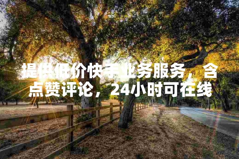 提供低价快手业务服务，含点赞评论，24小时可在线下单。