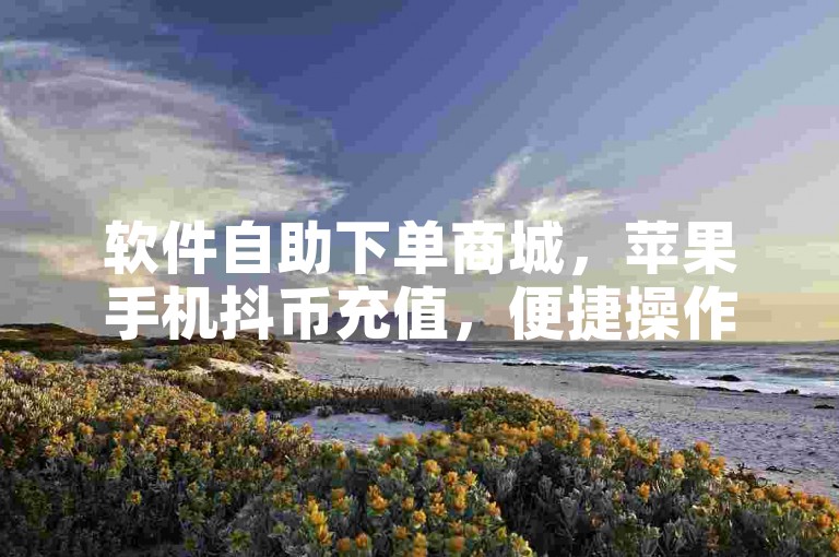 软件自助下单商城，苹果手机抖币充值，便捷操作轻松完成。