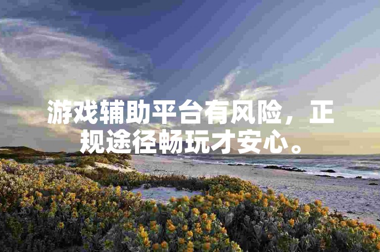 游戏辅助平台有风险，正规途径畅玩才安心。