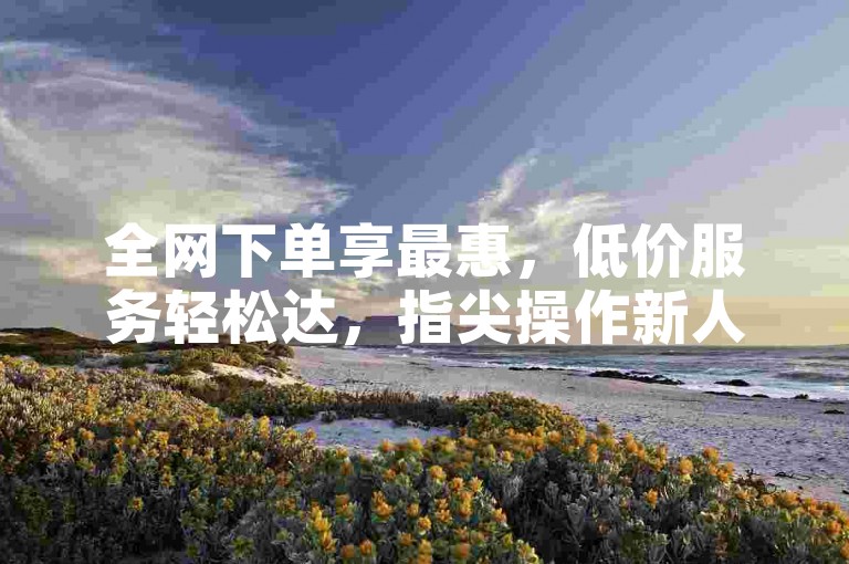 全网下单享最惠，低价服务轻松达，指尖操作新人佳。
