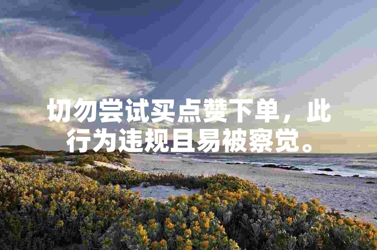 切勿尝试买点赞下单，此行为违规且易被察觉。
