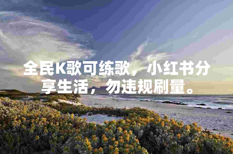 全民K歌可练歌，小红书分享生活，勿违规刷量。