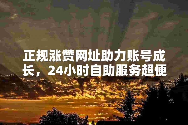 正规涨赞网址助力账号成长，24小时自助服务超便捷