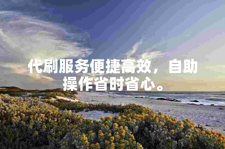 代刷服务便捷高效，自助操作省时省心。