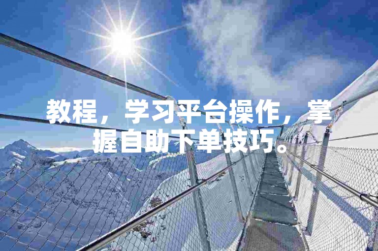 教程，学习平台操作，掌握自助下单技巧。