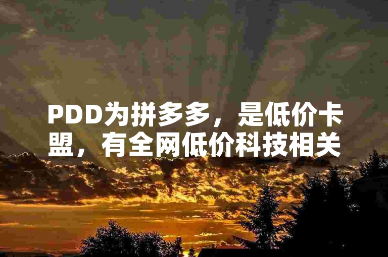 PDD为拼多多，是低价卡盟，有全网低价科技相关特色。