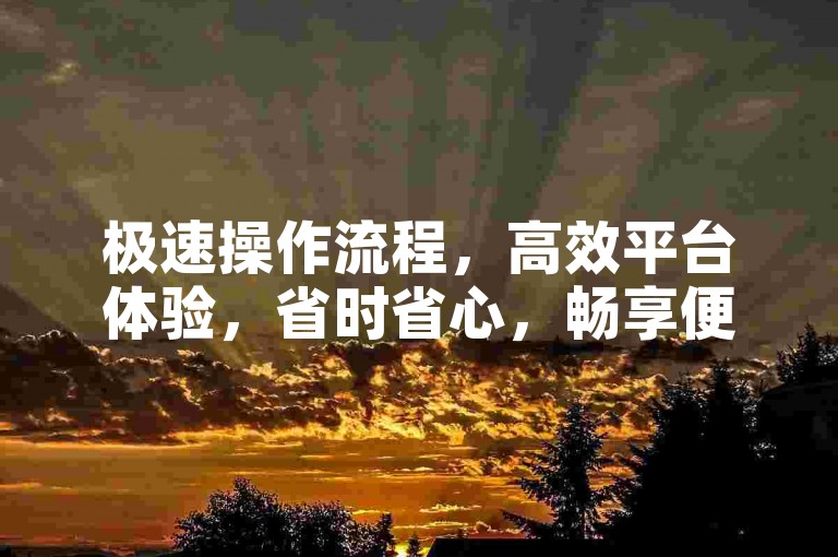 极速操作流程，高效平台体验，省时省心，畅享便捷服务！