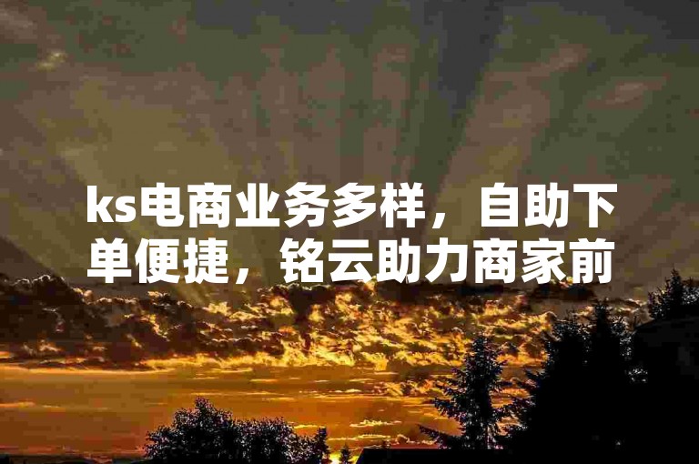 ks电商业务多样，自助下单便捷，铭云助力商家前行。