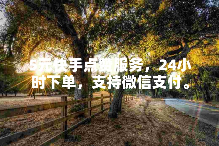5元快手点赞服务，24小时下单，支持微信支付。