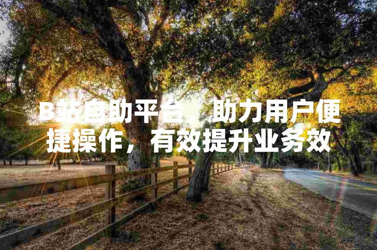 B站自助平台，助力用户便捷操作，有效提升业务效能。