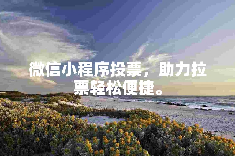 微信小程序投票，助力拉票轻松便捷。
