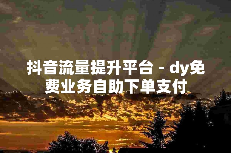 抖音流量提升平台 - dy免费业务自助下单支付