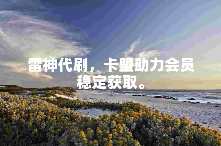 雷神代刷，卡盟助力会员稳定获取。