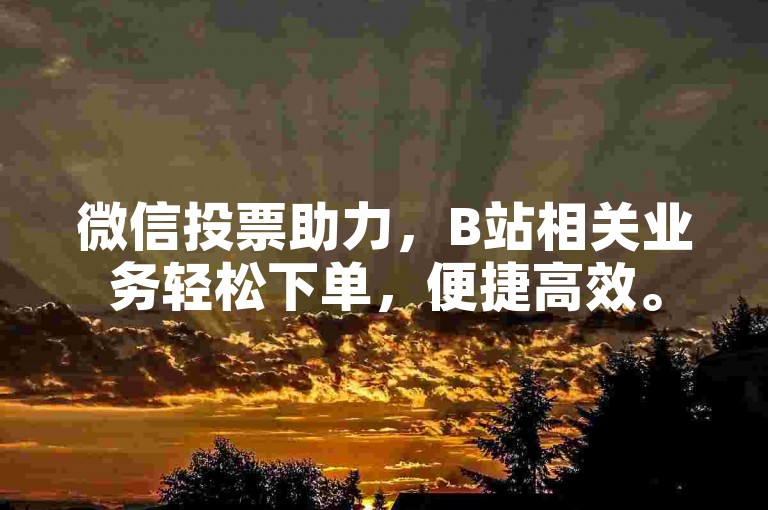微信投票助力，B站相关业务轻松下单，便捷高效。