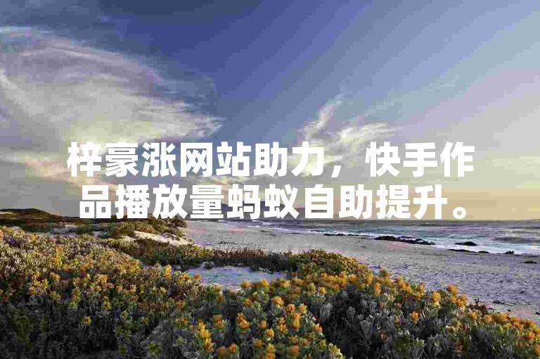 梓豪涨网站助力，快手作品播放量蚂蚁自助提升。