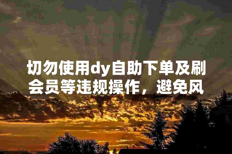 切勿使用dy自助下单及刷会员等违规操作，避免风险。