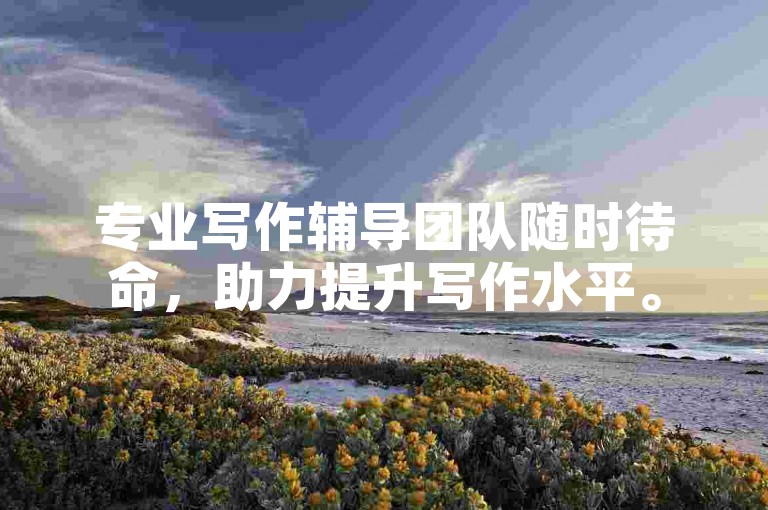 专业写作辅导团队随时待命，助力提升写作水平。