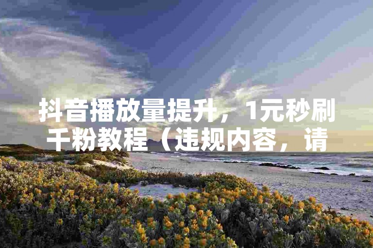 抖音播放量提升，1元秒刷千粉教程（违规内容，请勿尝试）