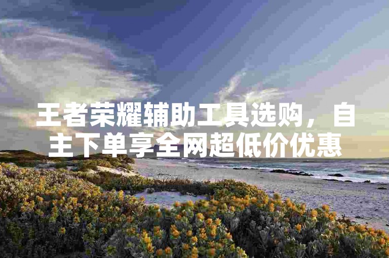 王者荣耀辅助工具选购，自主下单享全网超低价优惠。