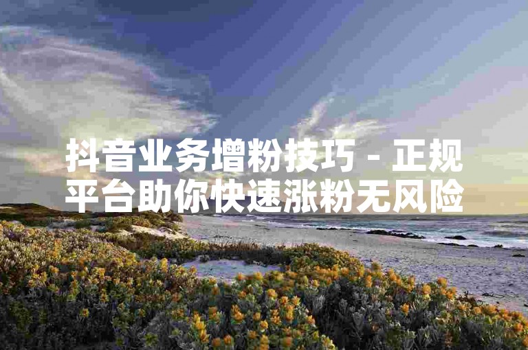 抖音业务增粉技巧 - 正规平台助你快速涨粉无风险