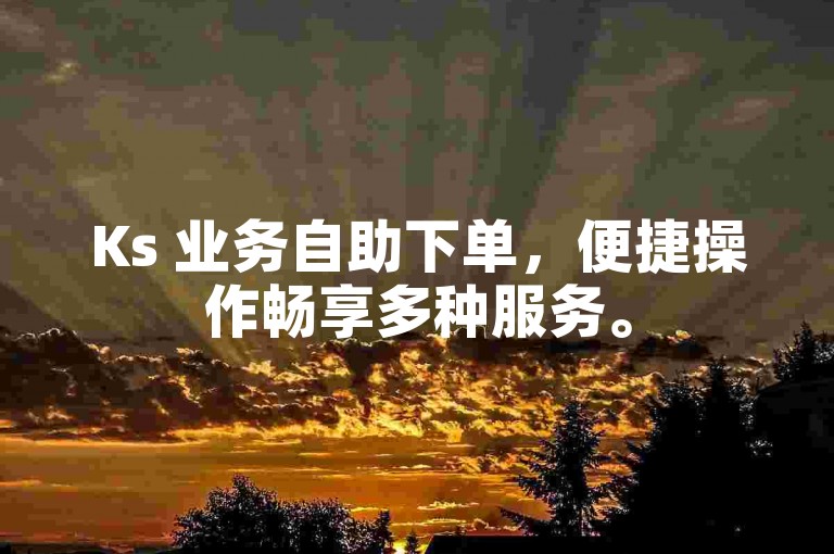 Ks 业务自助下单，便捷操作畅享多种服务。