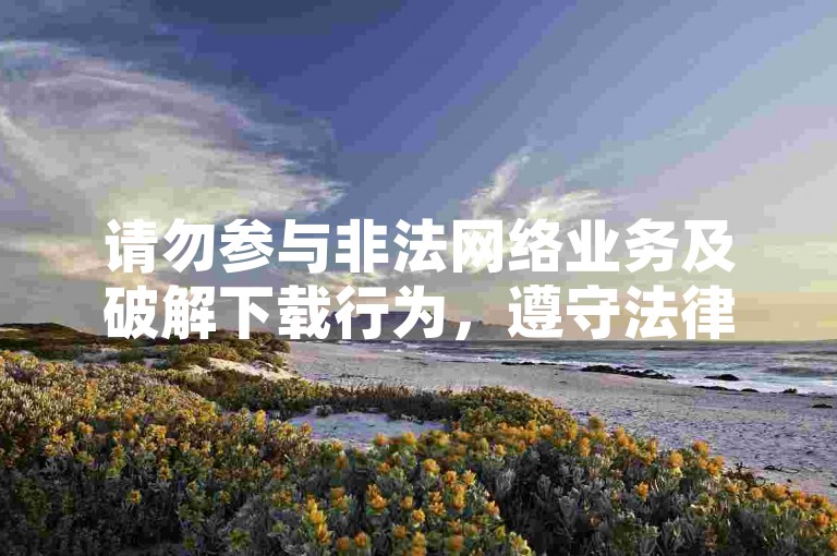 请勿参与非法网络业务及破解下载行为，遵守法律法规。