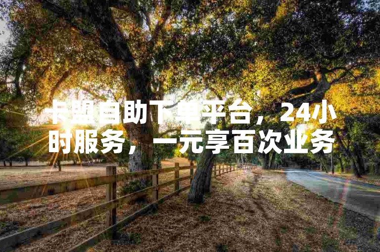 卡盟自助下单平台，24小时服务，一元享百次业务支持。