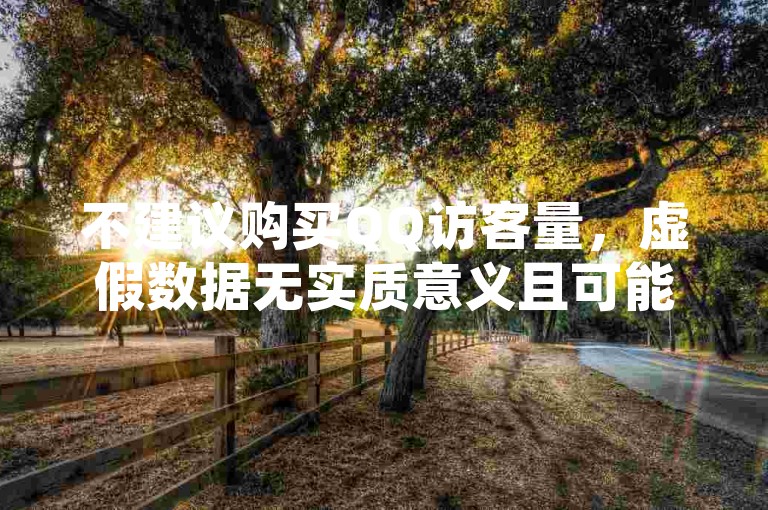 不建议购买QQ访客量，虚假数据无实质意义且可能违规。