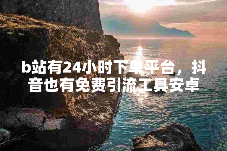 b站有24小时下单平台，抖音也有免费引流工具安卓版。